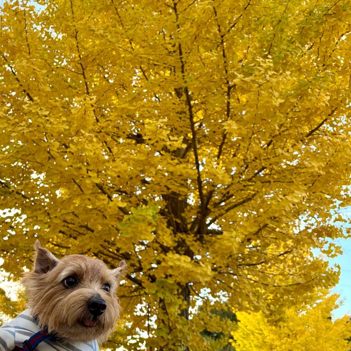 86154724 4caf 429f 83b1 be1f045e553e 1762354981535