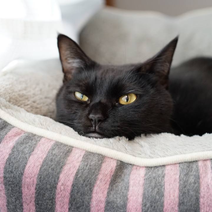 86155cb7 ff3a 41ec 96eb 14090374c35c 1548041399074