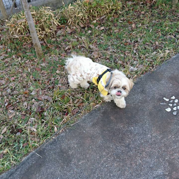 86156ed8 ed15 451a 8ddd 63ef28ea4d3f 1546924613986