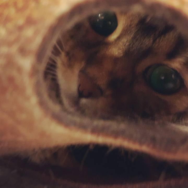 8615e0a4 29ae 40f9 889e 087a3949000d 1606951086496