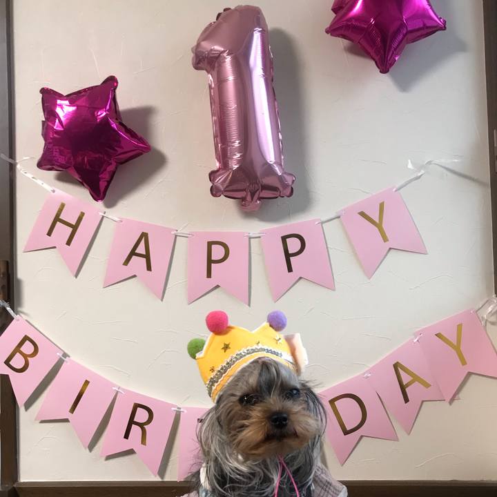 861603f9 314e 4175 b283 c43db4746b8d 1637574841814