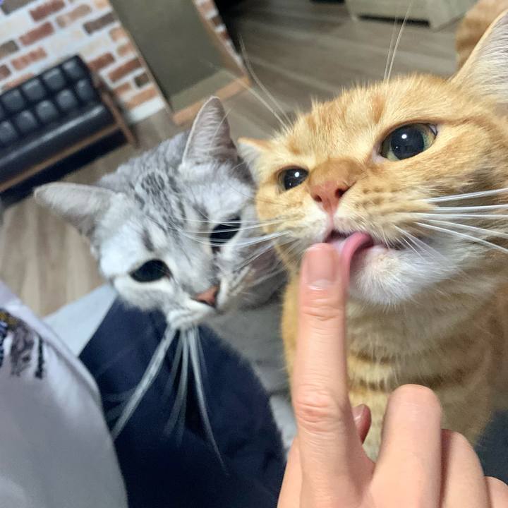 86165e0b afe8 4f0b 901b 171cb6587b49 1665051432118