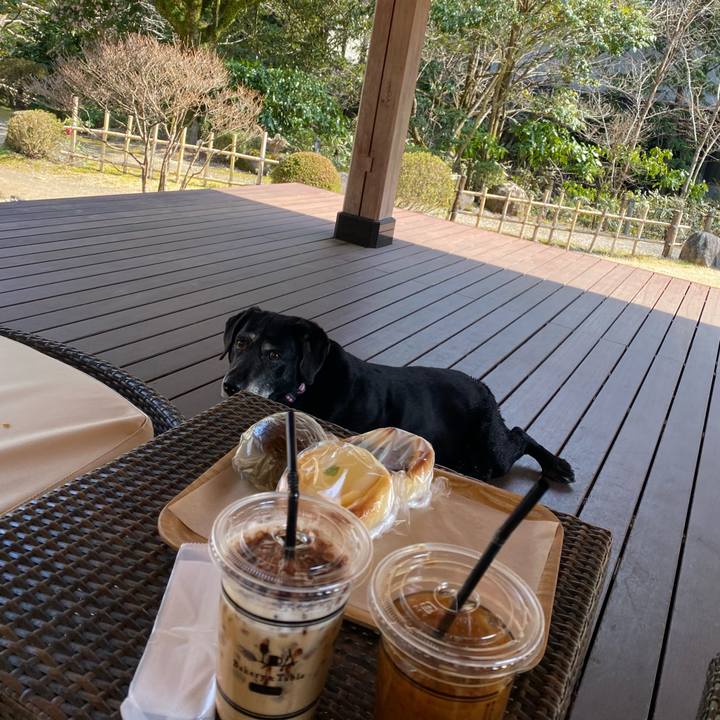 8616691e 0f69 49b3 8bdd 5ef31216c749 1678252289771