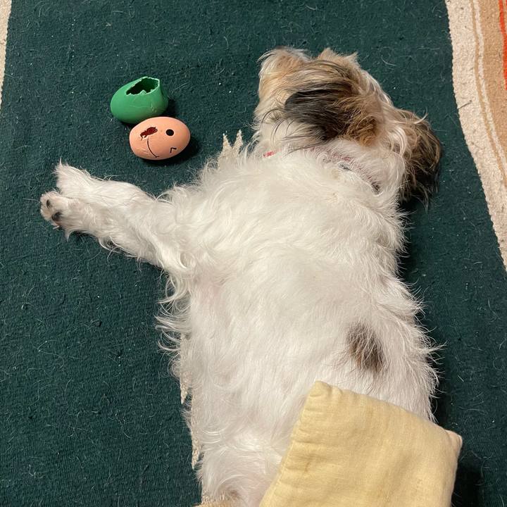 8616a411 d766 4a0d bc0a ca0158038e0d 1773486961607