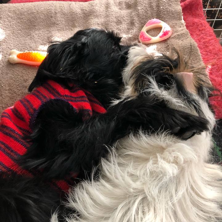 8616b2b2 77eb 4274 9232 bceb3efc2031 1551740706386