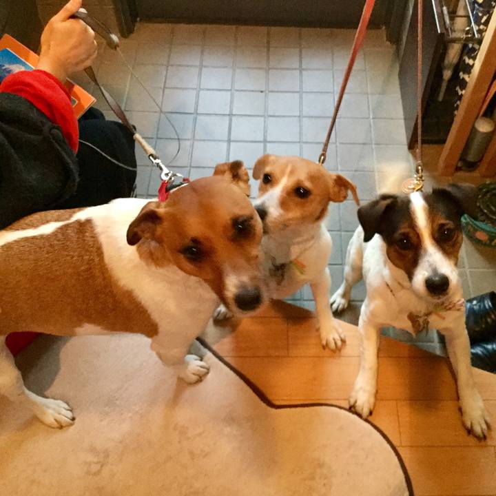 8616b870 8617 433d 9908 3e5f03c67697 1548318307045