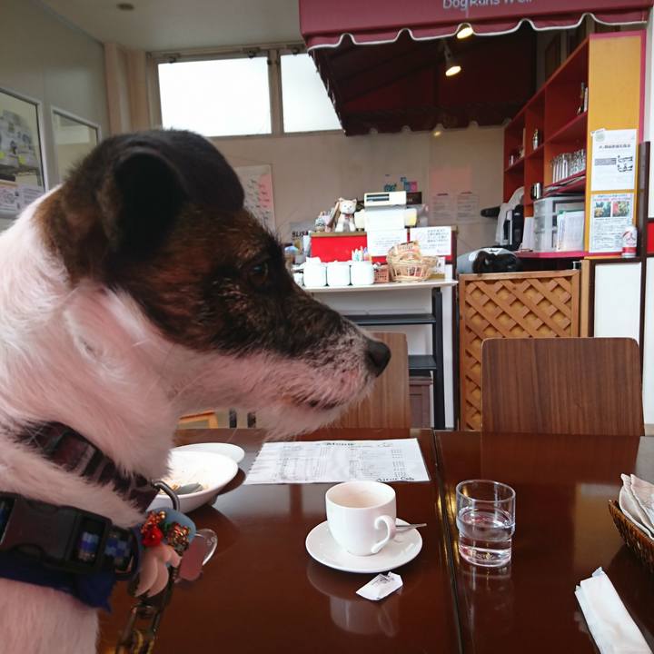 8616c3e1 3328 44a7 8a96 0c24ba269acb 1517632047943