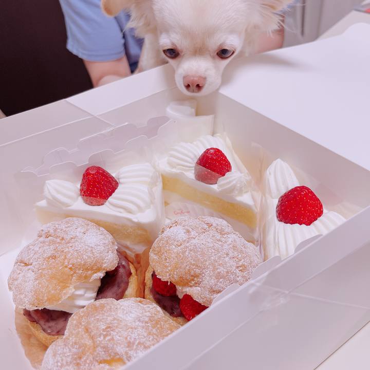 8616c4a2 d77b 4460 9c46 b64fbbb333fb 1678769643593