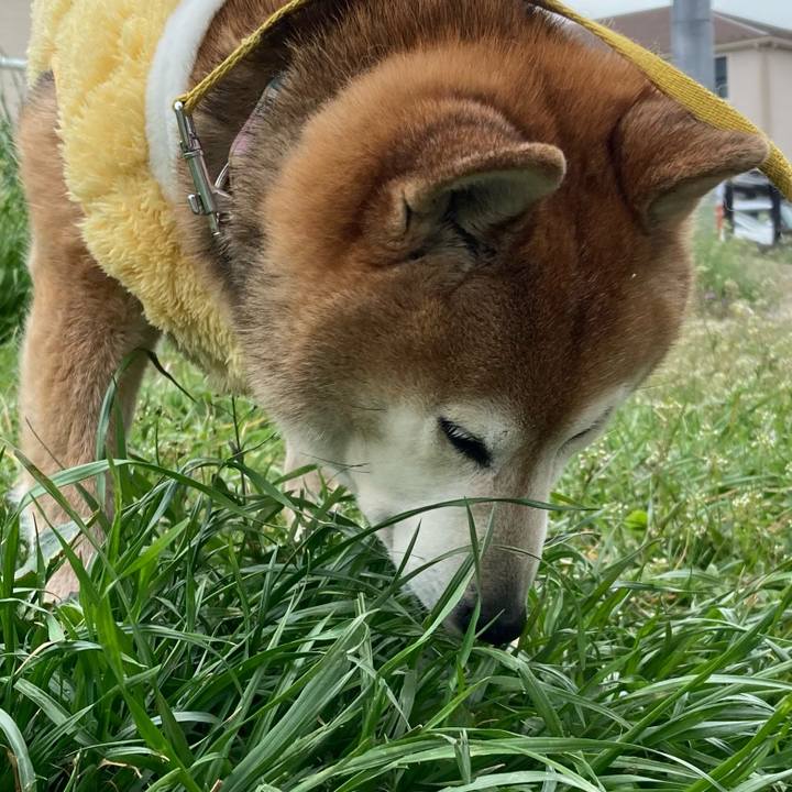 86170b91 822b 435d 88e5 8fd0715e0972 1773895044852