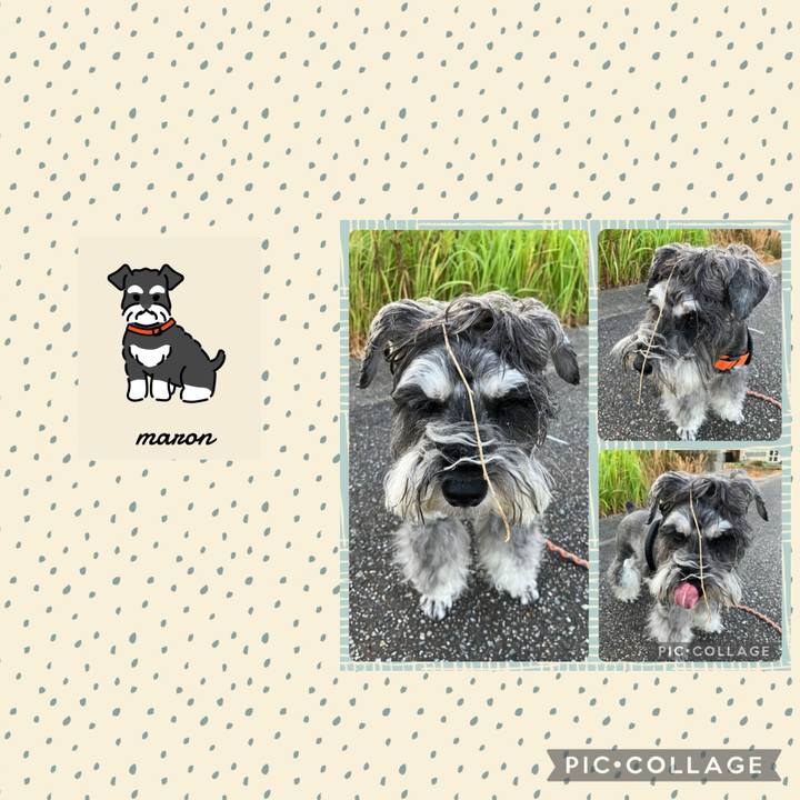 861734b4 7f02 41b4 b560 751246bef1e2 1731116226496