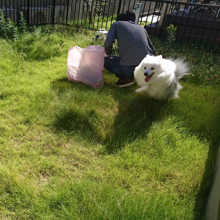 86173b80 8337 4c8b 988b 7ca322d64ee0 1597473220871