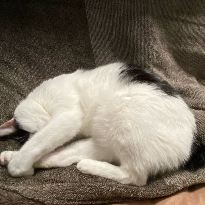 861777ee 6ef9 4b22 b2f4 00a3a714ba7c 1578053897283