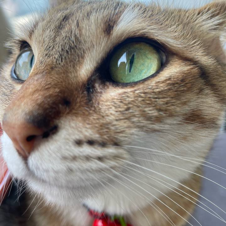 8617a7b9 7151 4a04 8155 41d343d997d3 1715606147921