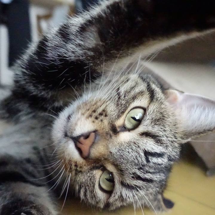 8617cad9 ce50 4dc1 b4e5 ba634a0c873a 1532501068837