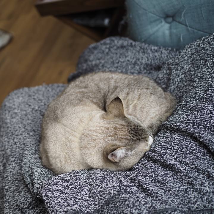 8617d072 eb3d 4f21 80d1 71bc85da27a5 1645442111178