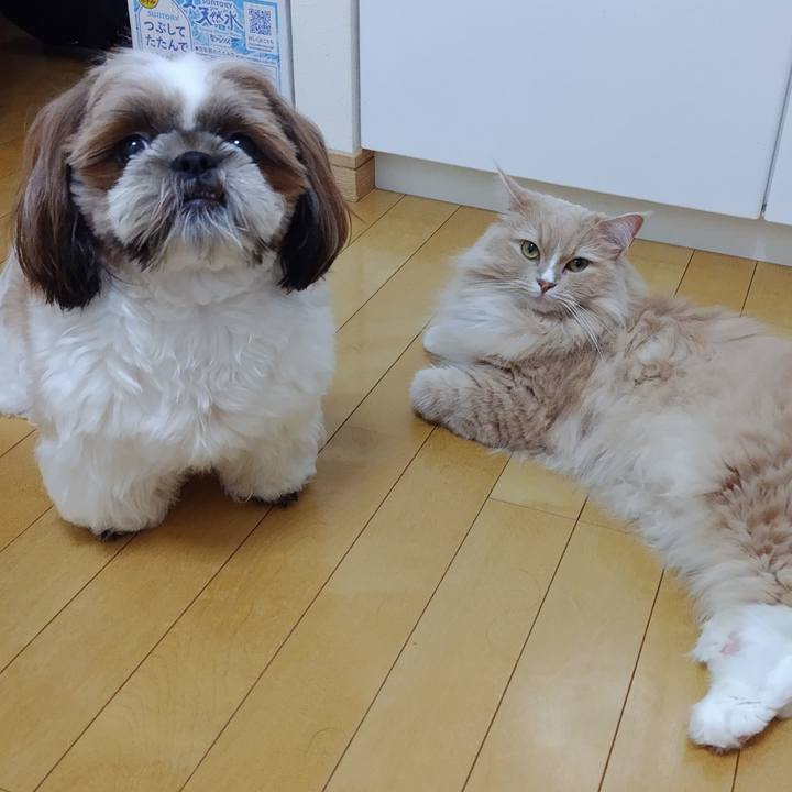 8617ee11 cd8f 4136 a6fa e70463060918 1690636229089