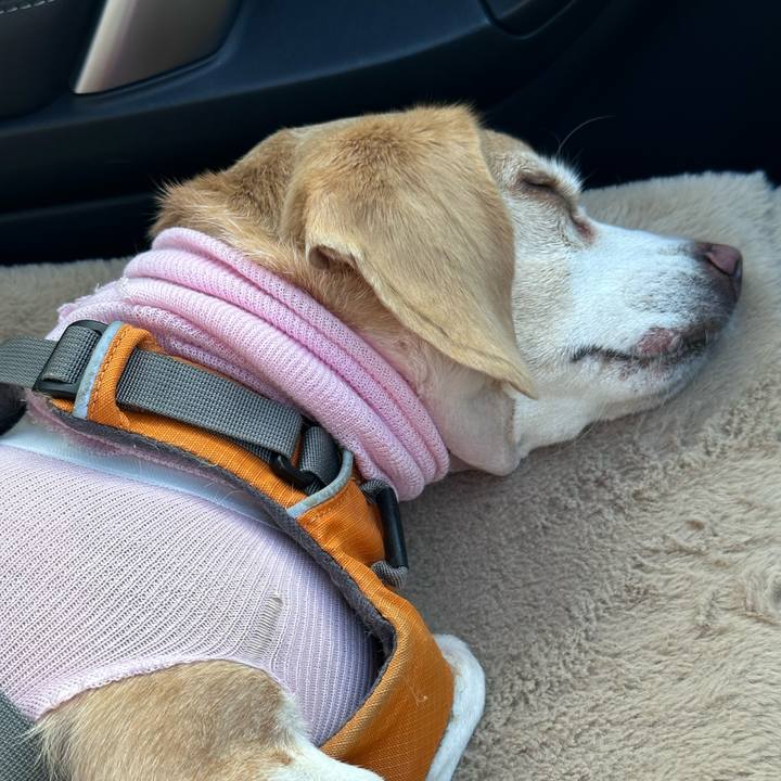 8617f124 ab5a 4244 9ff4 9a17b7c05f6b 1706768633008