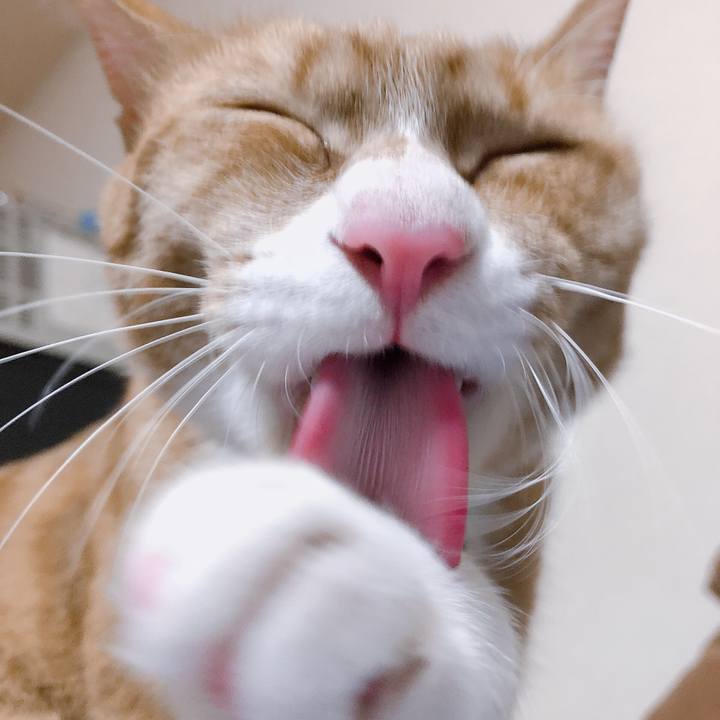 8617fac2 190b 446d 9c44 6bd0a9941f07 1567851389893