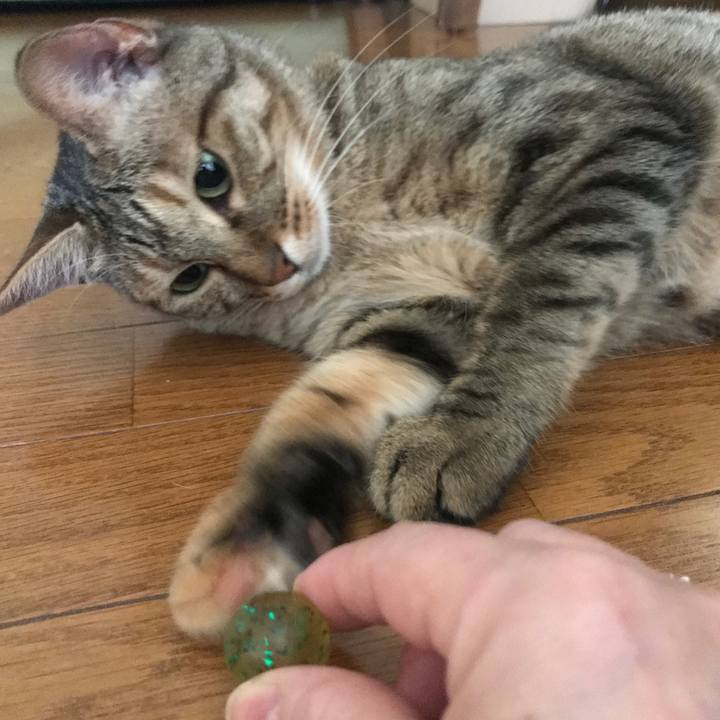 861831fd db77 4f0e 9d33 19ba9eca2a6c 1592279783216