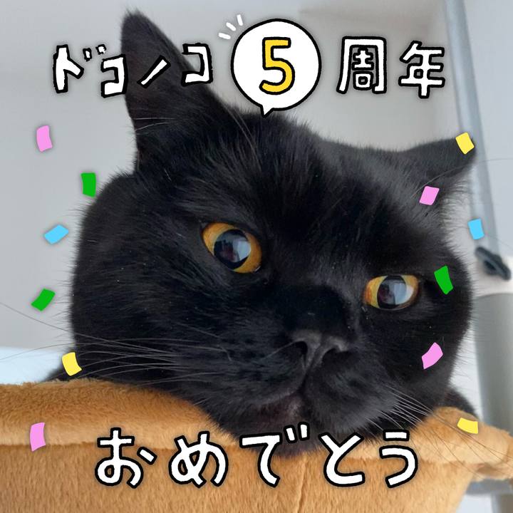 86183fce 41ed 4bed a589 979c72f4c060 1622861759694