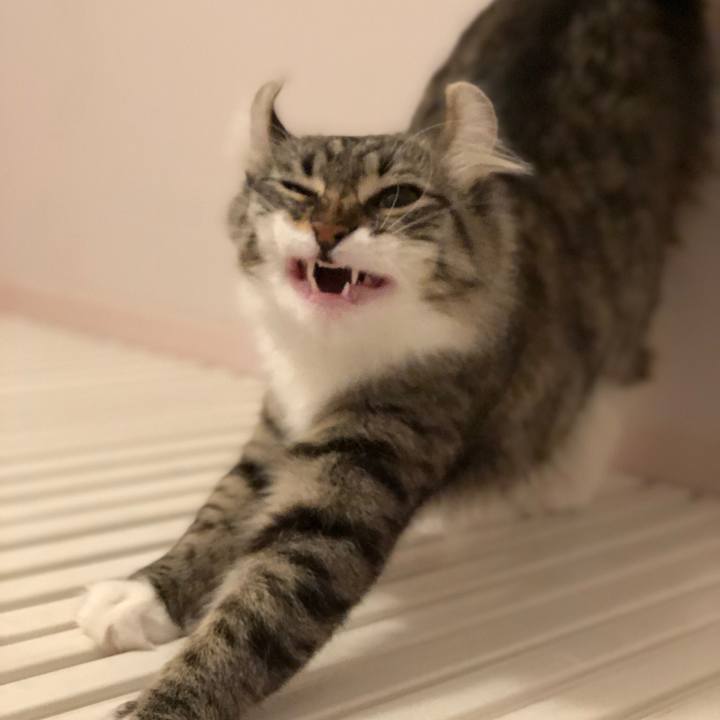 8618656c 3ac2 43d1 af0f 228467716d3b 1521759709493