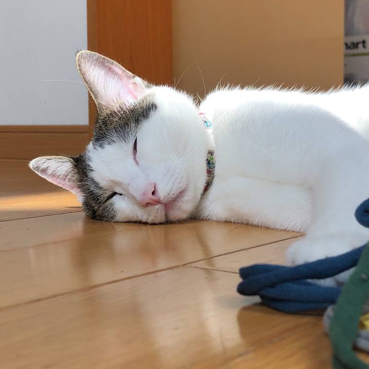 86186a3f 9cd3 4929 b267 93487ee0bf1b 1601275742198