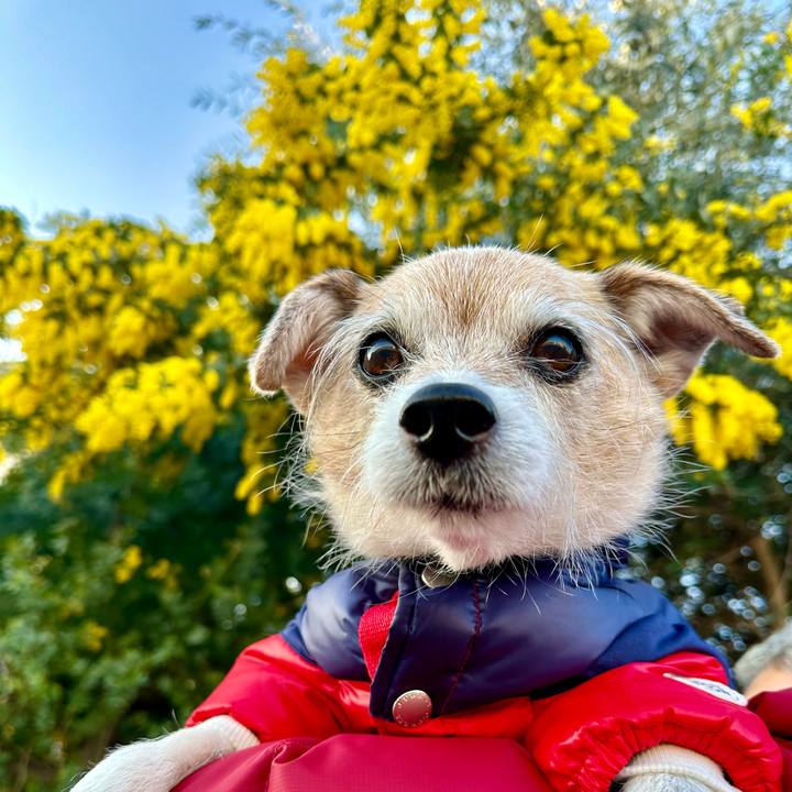 8618705f 6049 4d4c abca 656acb8773ae 1709523905030