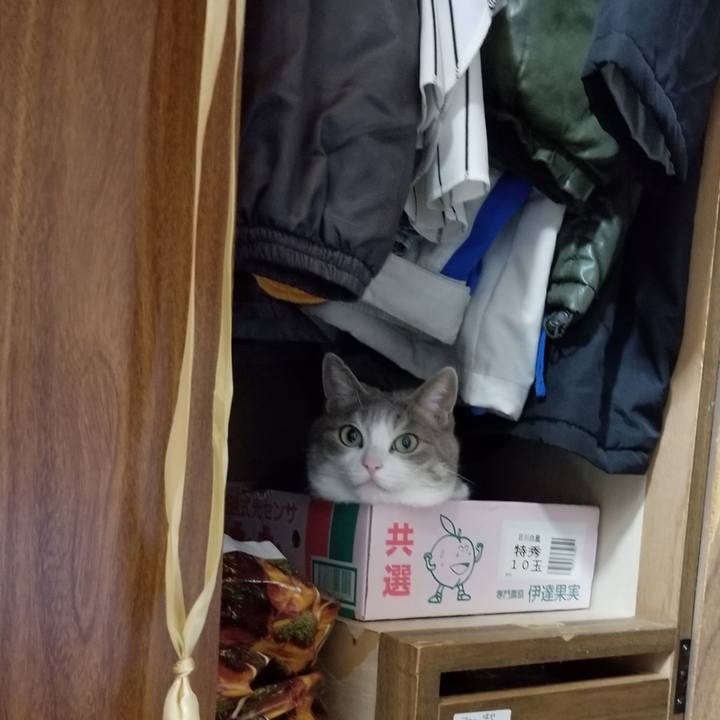 861877ea ad6c 41f7 b536 10a1ca520adf 1601044983871