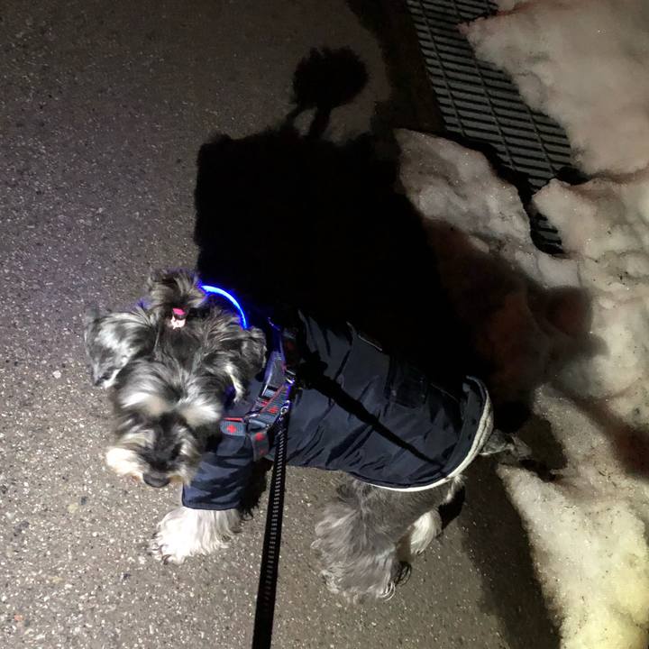 861888ec 23c2 4374 9c1c 8c7fac6adb35 1644668198739