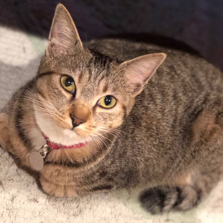 8618a18b 3bd8 4f5b a583 f44255db0d37 1583764072494