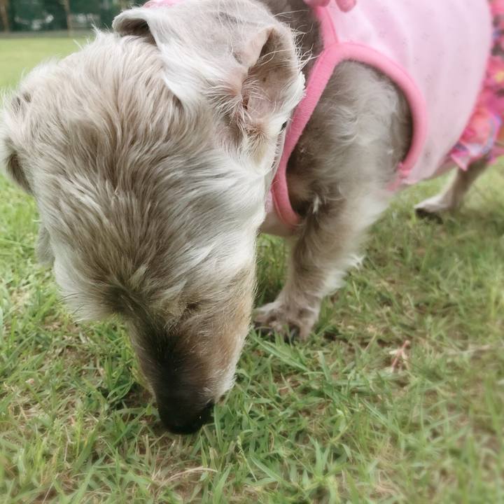 8618b955 7059 4783 96a4 8f12c360b900 1528964961238