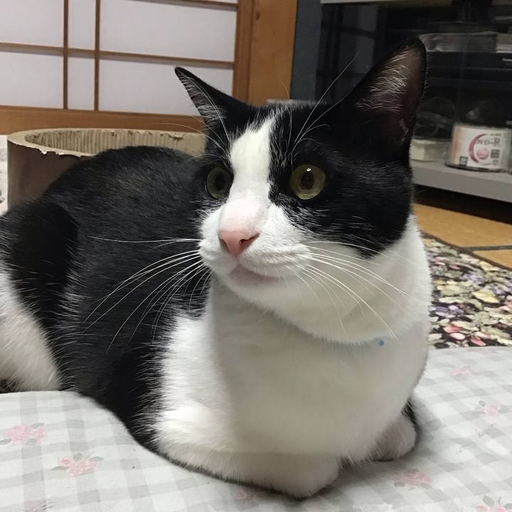 8618c131 c27d 498a 873f 0bad6207621c 1718527868347