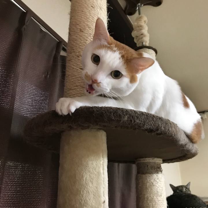 8618d240 2dbb 413f a089 a326a9aa4de9 1526721123663