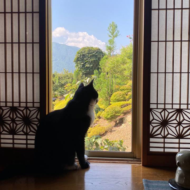 8618dc1e 9e2e 486b beb5 b03b29fc97d2 1598232071906