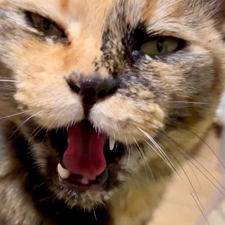 86190e65 1a0e 4244 9051 2863a92beeff 1748522189180