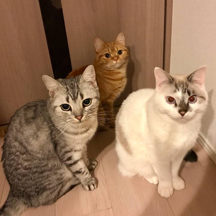 86191427 43e6 49dd 808e 03b5ddd5477a 1510235945689