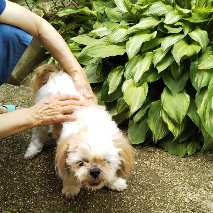 86192d40 4c9c 4031 a665 cb808cfc87fb 1530071416076