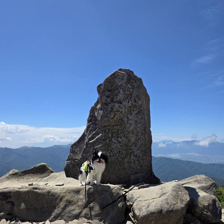 861947bc bae3 4ccb 816f 3f54e37eee0b 1756350866251