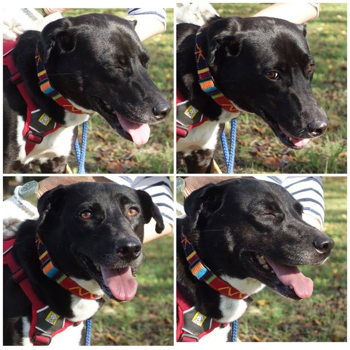 8619506f 60a9 4a7f adf8 d2cd8a321d55 1601426883275