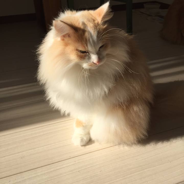 86195b86 611d 4451 a88b 904d69ab9a4c 1512864078845