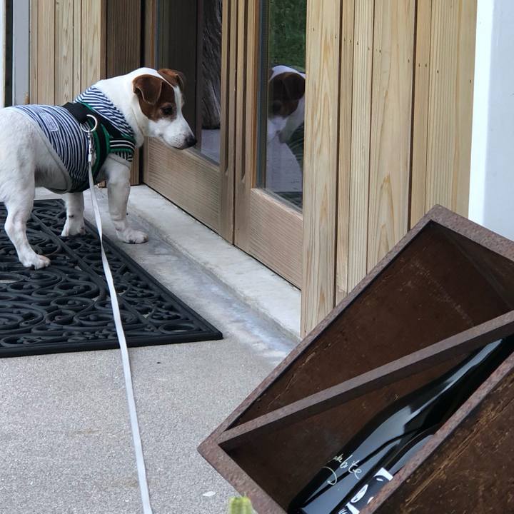 86195e51 a73f 47d9 a315 f12ffea28c44 1716957835557