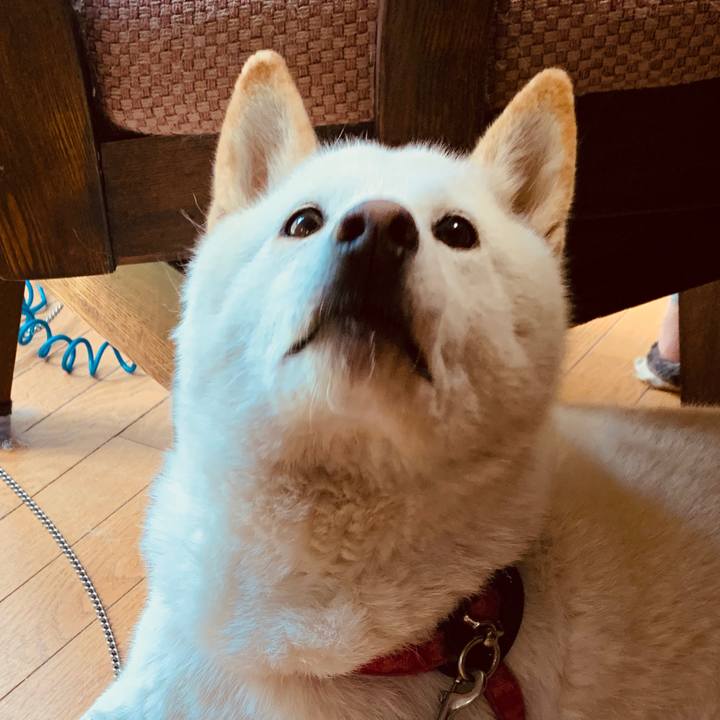 86196a78 4fe3 4202 834f 25e756f4bfa9 1587518902938