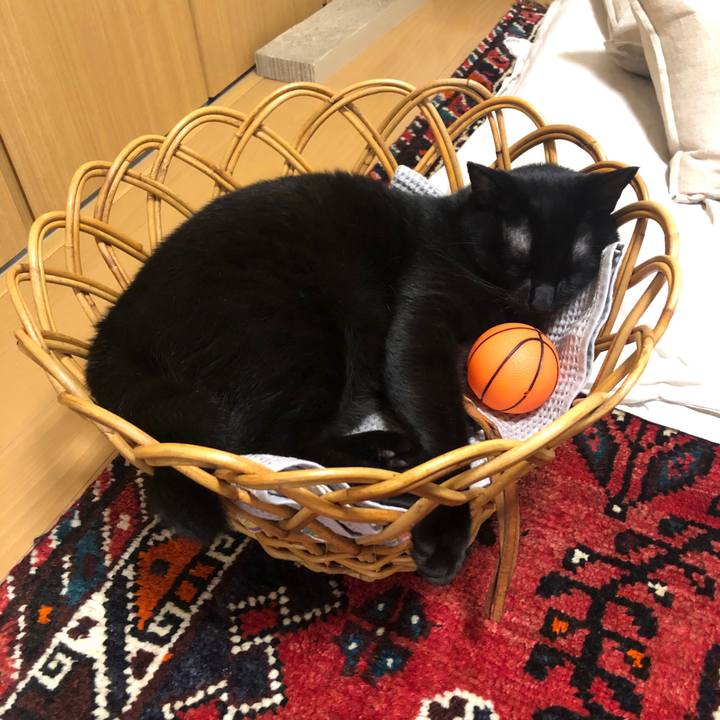 86199918 7c0c 44e8 8f1e 7cf08fd32e4e 1593182654823