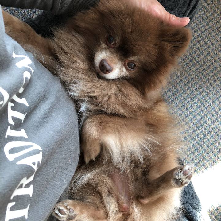 8619acf6 91f5 4fc4 91fc 9c08d850145a 1551674653665