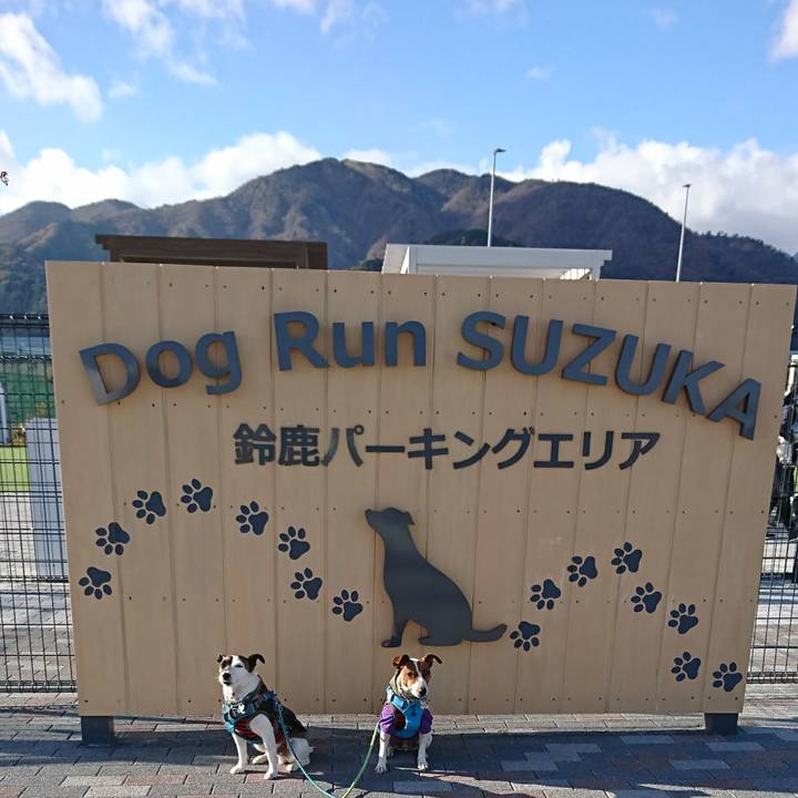 8619b4bf 469c 452b bf8a 2f05e3d24a84 1606368339118