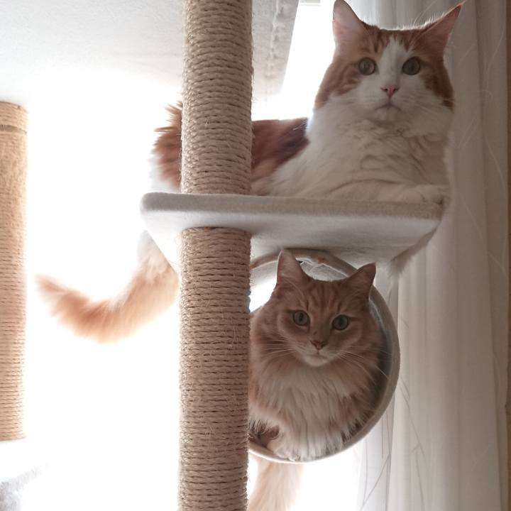 861a13fc dd46 4458 bd14 24ca0dfe32e2 1539306824368