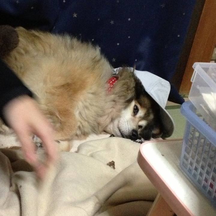 861a1ab4 70c0 4bd1 af55 de8bd5903a5c 1551626049904