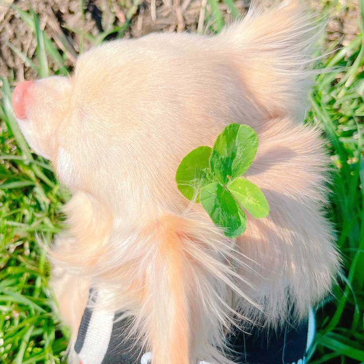 861a28fc 3f1b 43fc 8299 46d80f882944 1649228850660