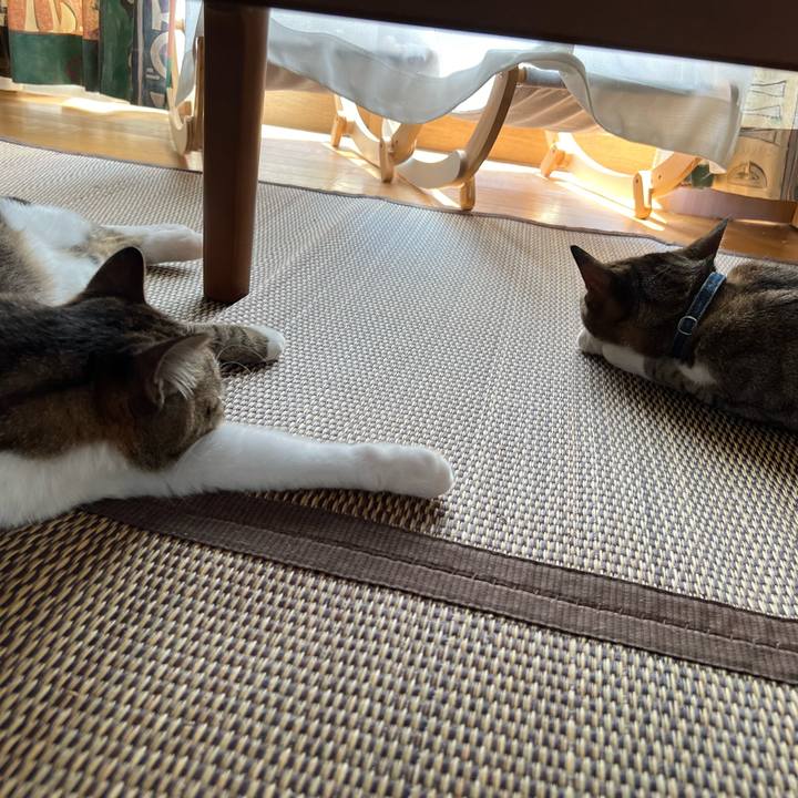 861a6c56 e7e1 457b a81b 394db1203d14 1725001076559