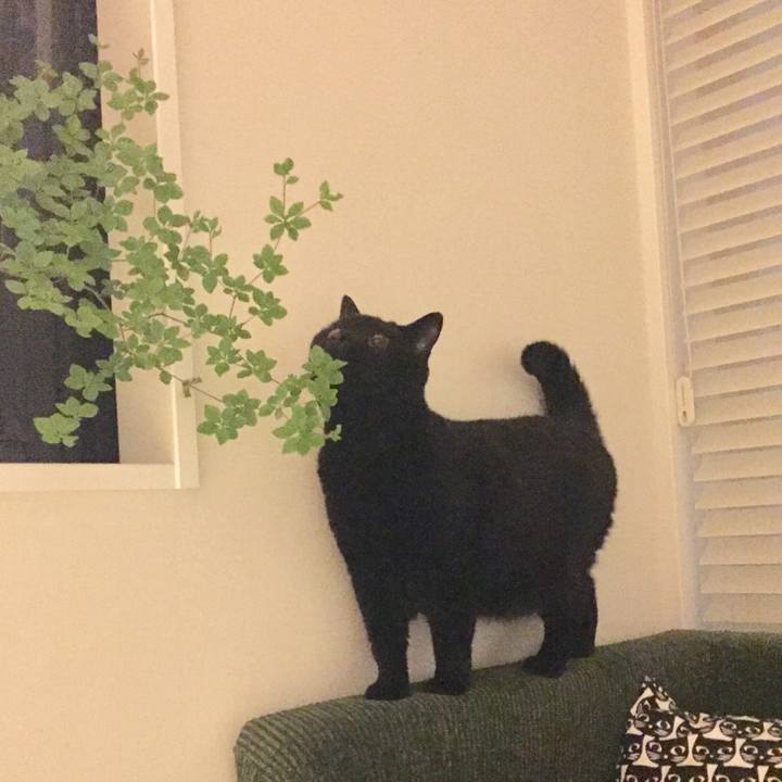 861abec2 f2c4 48bd a15f 11609fa06d84 1529068430279